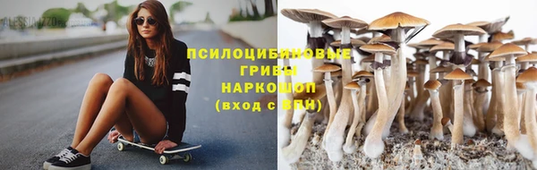 СК Балахна