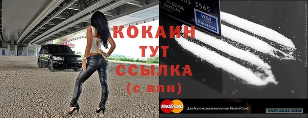 твердый Арсеньев