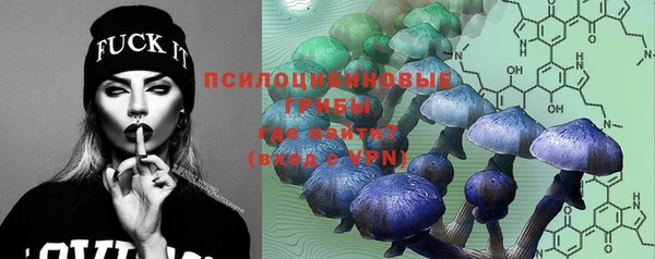первитин Рославль