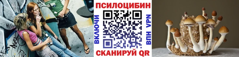 Псилоцибиновые грибы прущие грибы  Тайга 